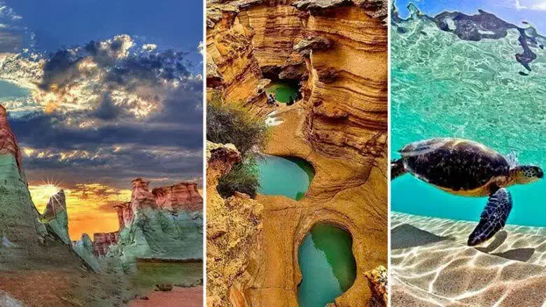 هلدینگ سفرهای ارزان|تور و چارتر|قم, انسجام|دیوار