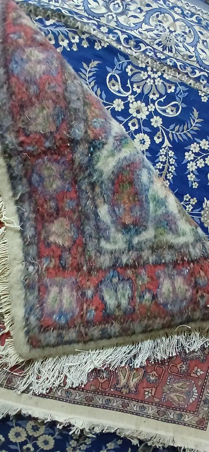 فرش زر ونیم دستبافت طرح بوته|فرش|اردبیل, |دیوار