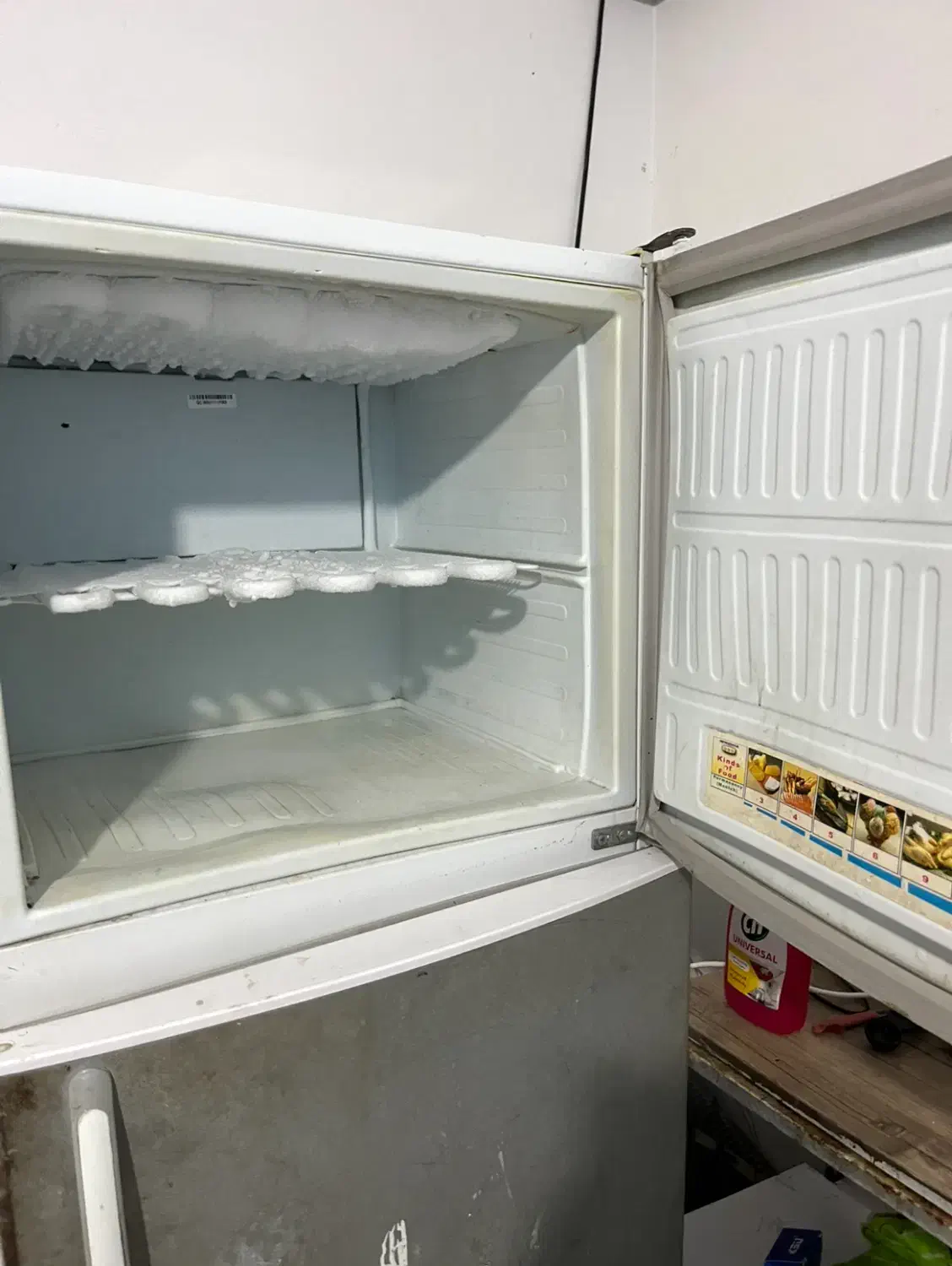 یخچال سالم سالم|یخچال و فریزر|بندرعباس, |دیوار