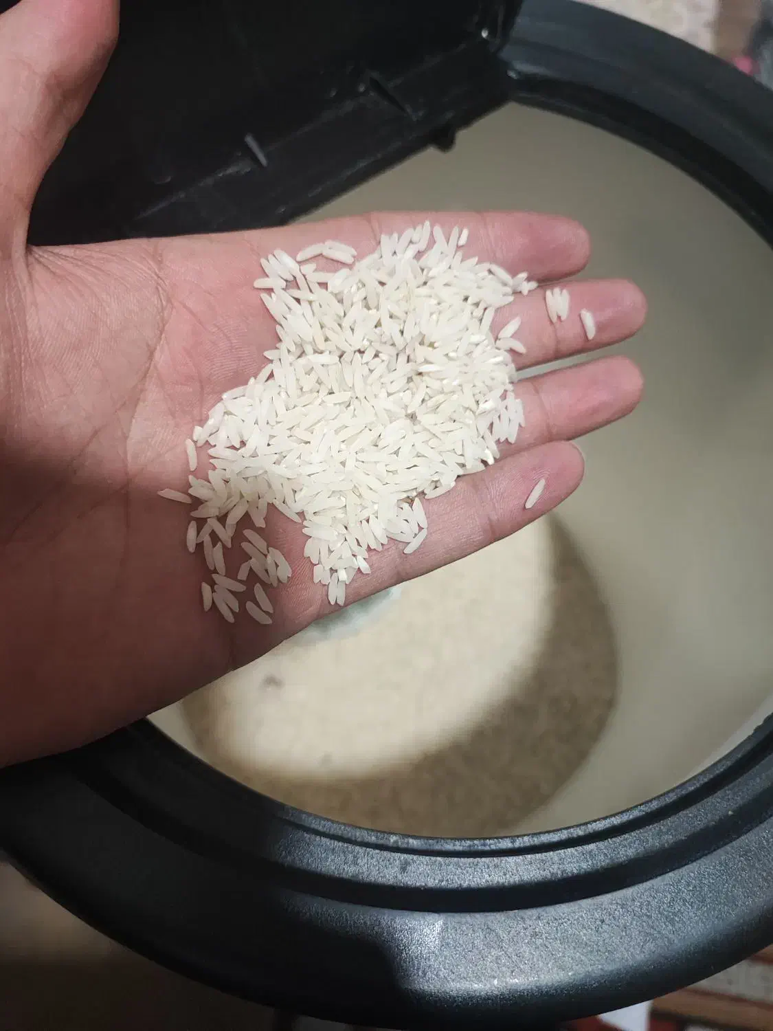 برنج طارم هاشمی بدون ریز|خوردنی و آشامیدنی|قائمشهر, |دیوار