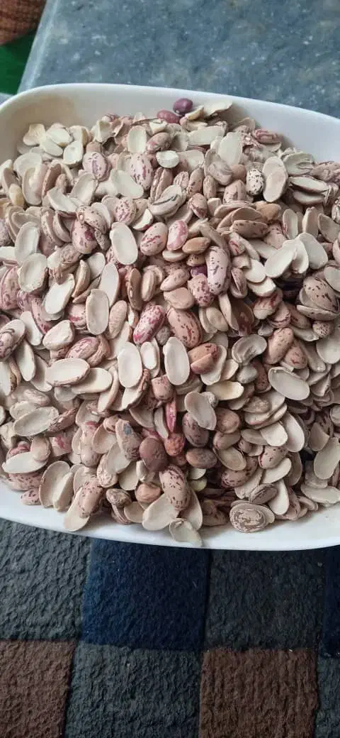 لوبیا چیتی شکسته|خوردنی و آشامیدنی|بهشهر, |دیوار