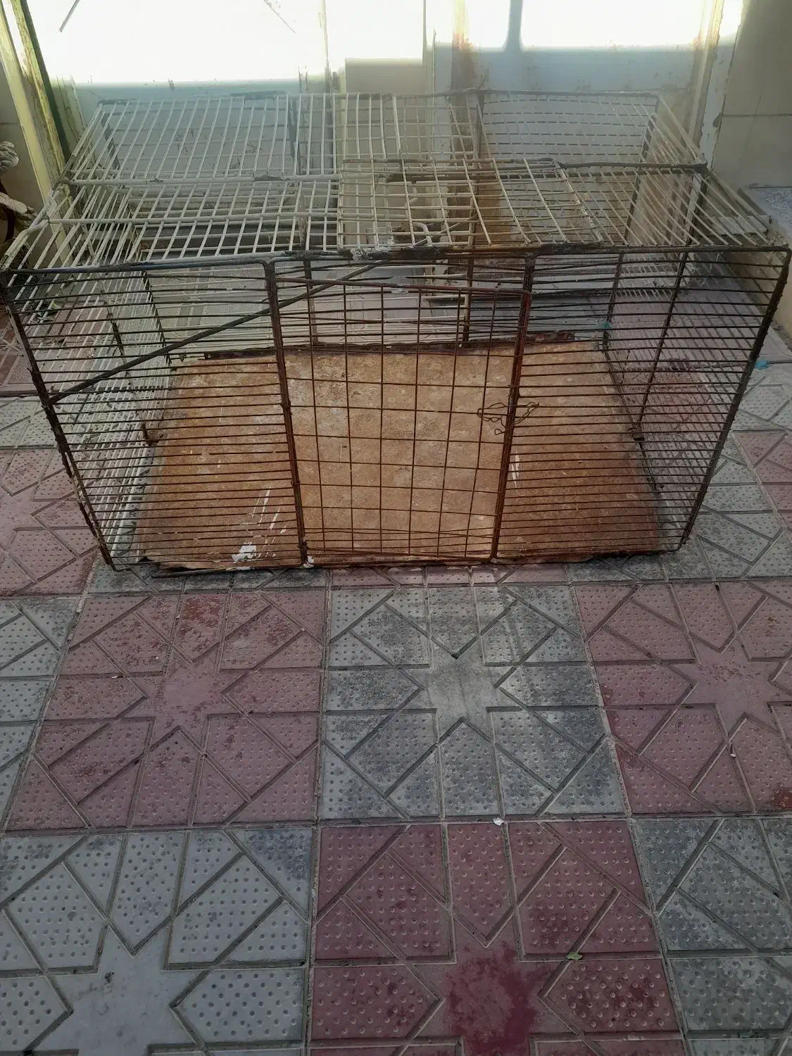 قفس پرنده|لوازم جانبی حیوانات|تربت‌حیدریه, بالا ولایت|دیوار