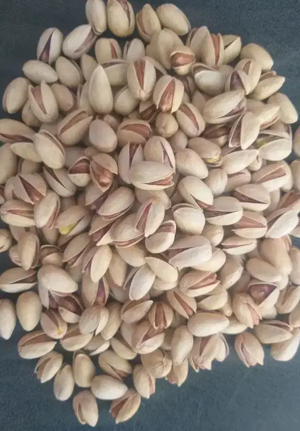 پسته خندان درجه ۱|خوردنی و آشامیدنی|تربتحیدریه, قائم|دیوار