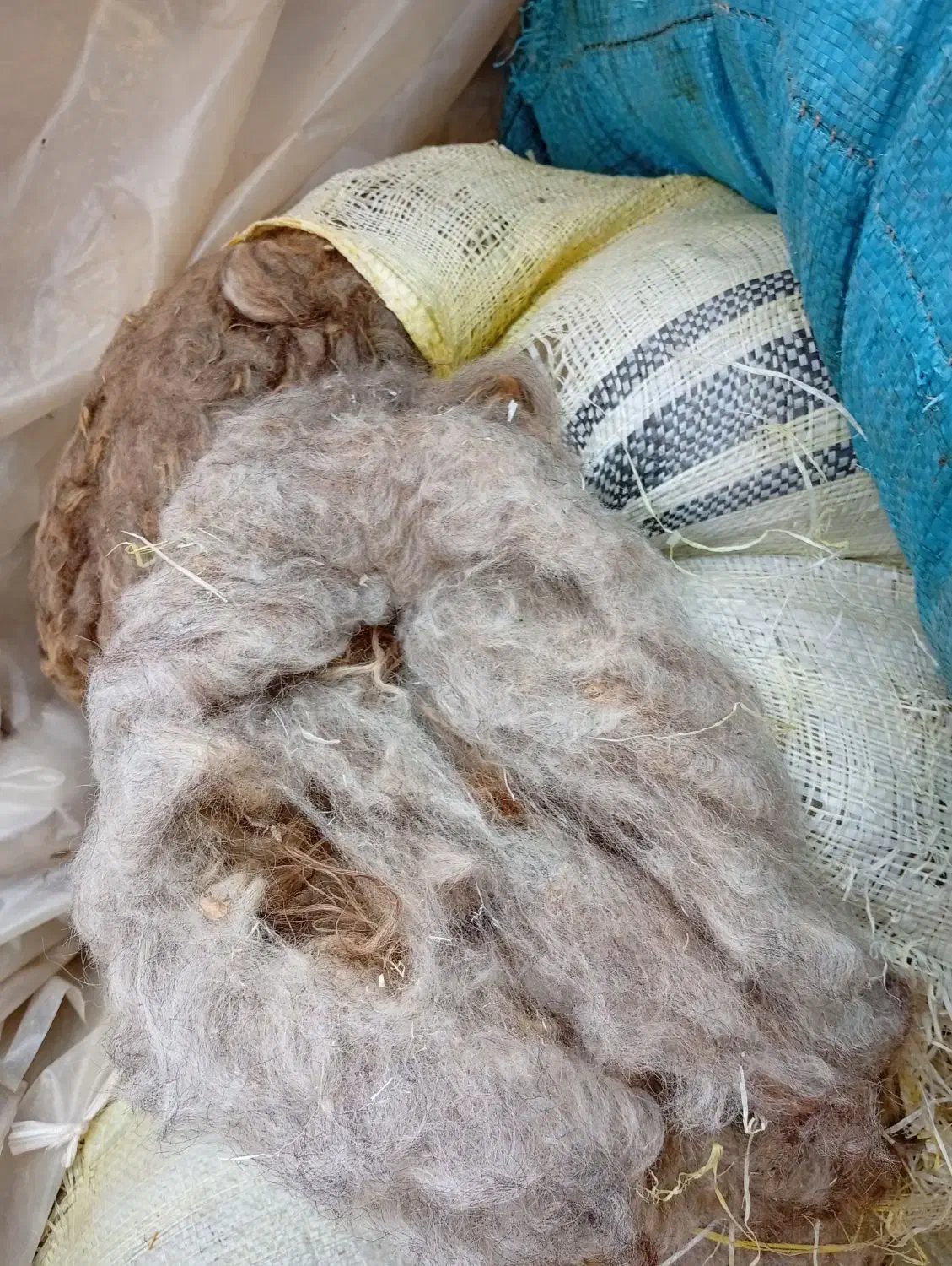 پشم‌گوسفندی|رختخواب، بالش، پتو|مرند, |دیوار