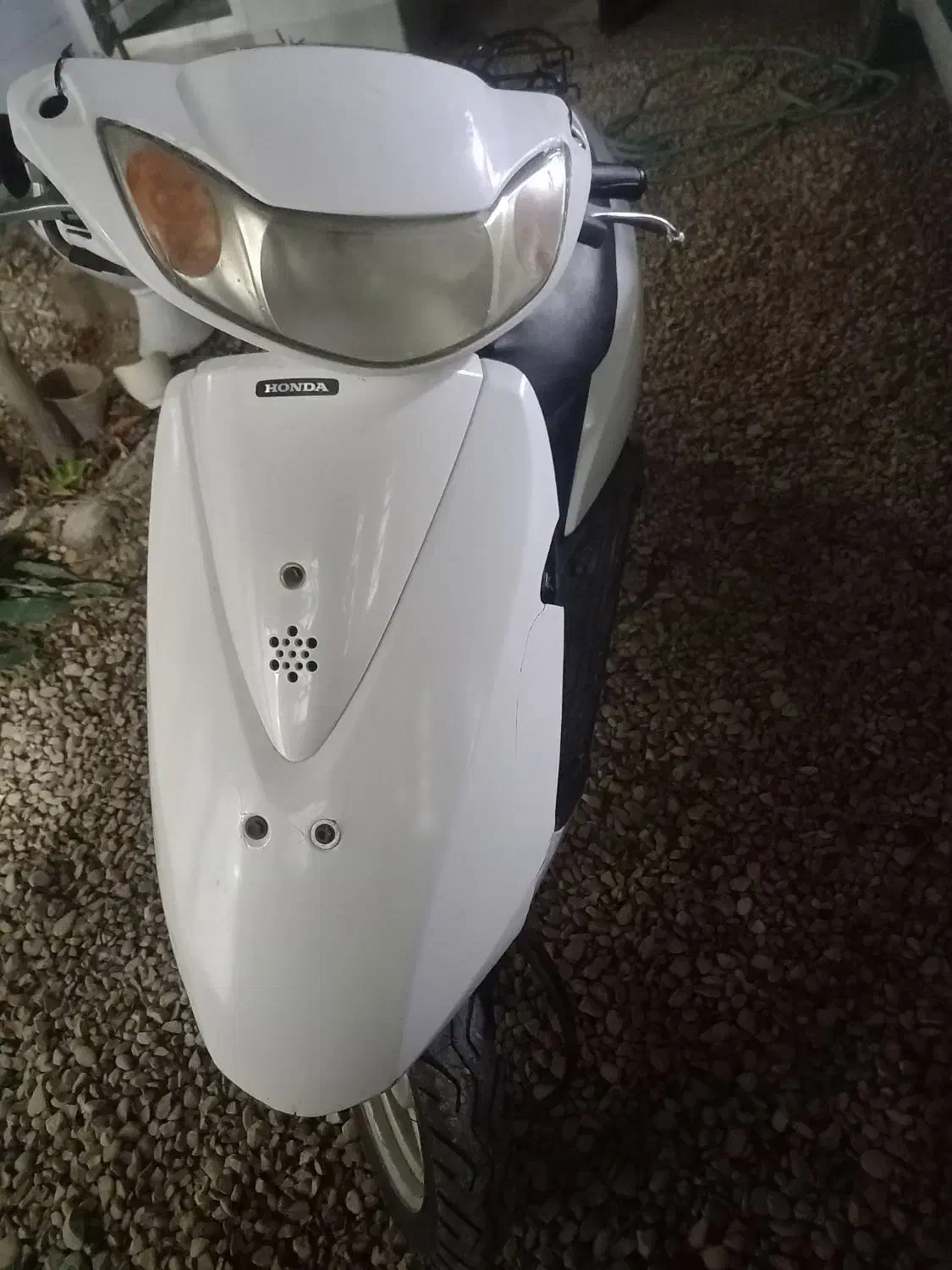 پاکشتی دیو هوندا|موتورسیکلت|بندر گناوه, |دیوار