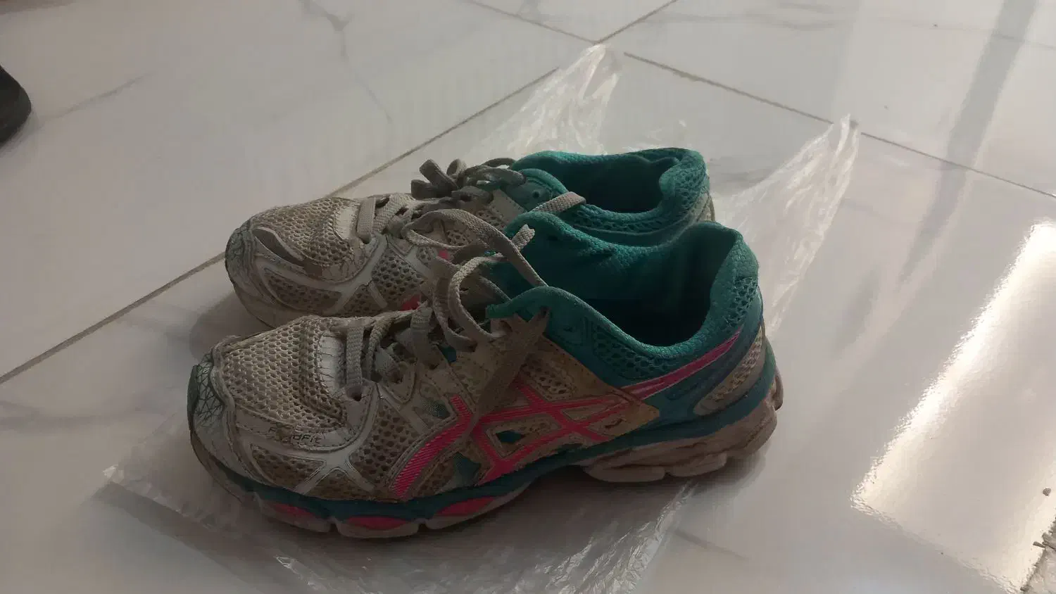 کفش|کیف، کفش، کمربند|شیروان (خراسان), |دیوار