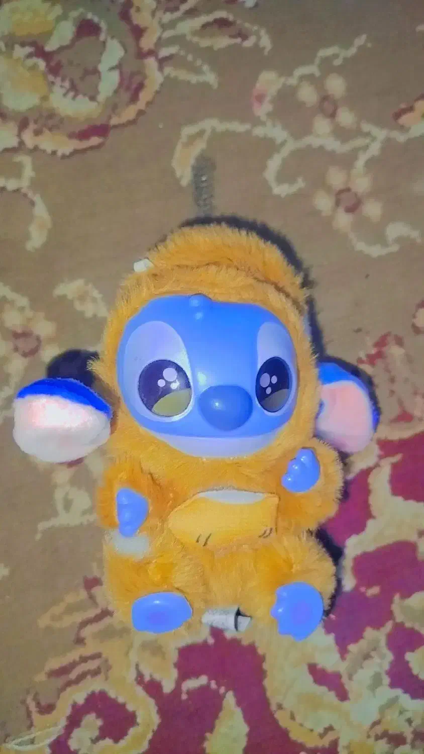 دوعدد لبوبو نو|اسباب‌بازی بچه|میناب, |دیوار