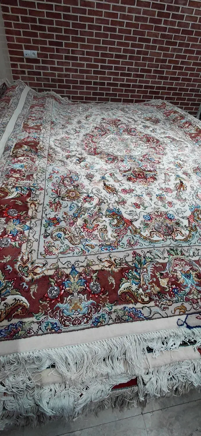خطیبی جفت۶ متری آذرشهر مرینوس|فرش|آذرشهر, |دیوار