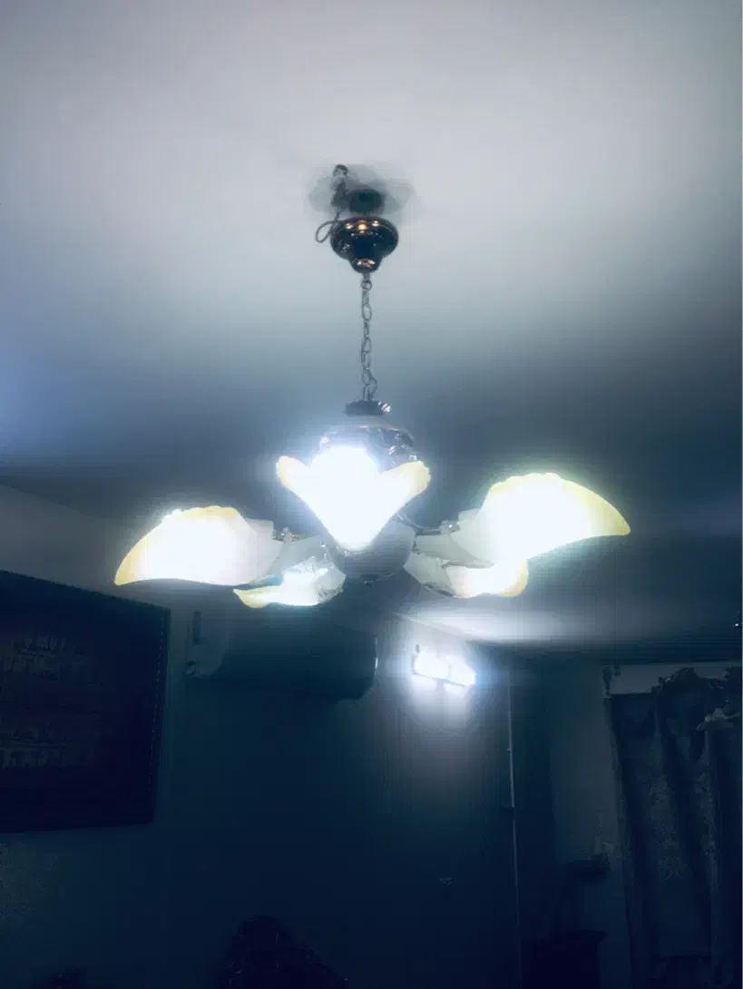 لوستر ۵ شاخه|لوستر و چراغ آویز|قم, انسجام|دیوار