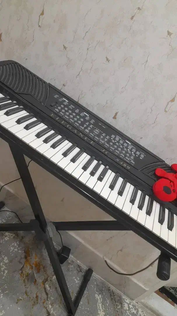 ارگ موسیقی|پیانو، کیبورد، آکاردئون|قم, بنیاد|دیوار