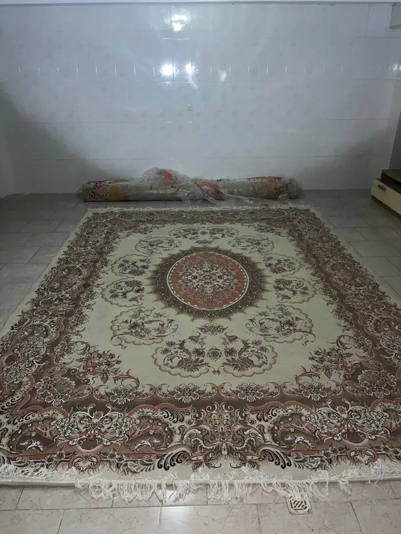 فرش ۱۲ متری در حد نو ، با کیفیت|فرش|ساری, |دیوار