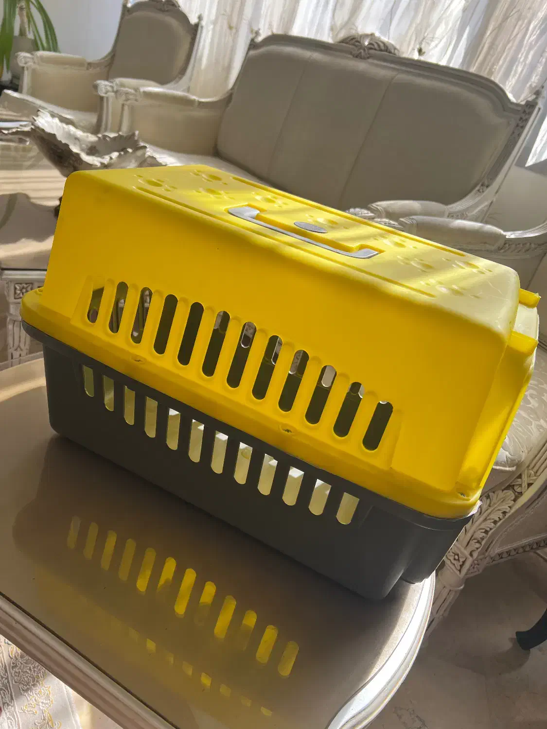 باکس حمل گربه + یک کیسه خاک گربه (هردو نو)|لوازم جانبی حیوانات|تهران, شهران شمالی|دیوار