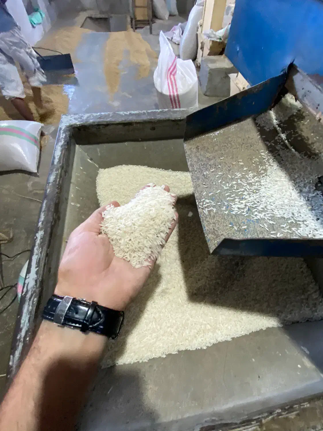 برنج شیرودی اعلا|خوردنی و آشامیدنی|بهشهر, |دیوار