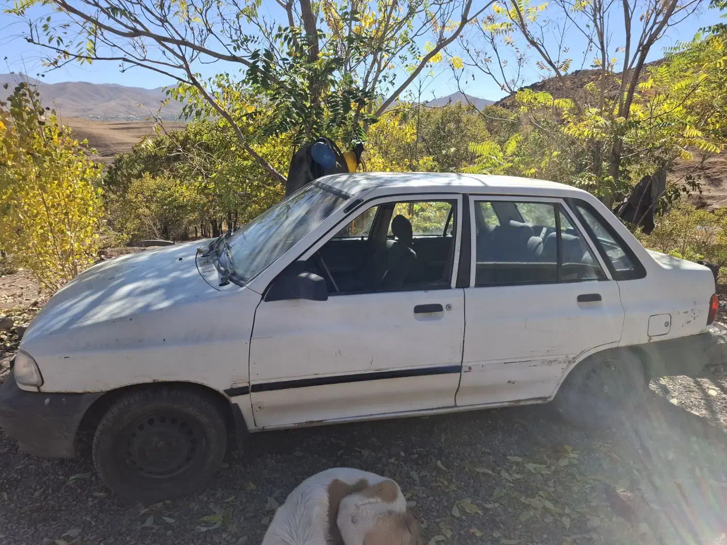 پراید مدل۸۴ انژکتور|خودرو سواری و وانت|طالقان, |دیوار