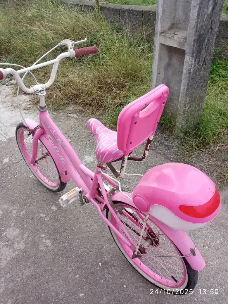 فروش دوچرخه دخترانه سایز20 درانزلی طالب اباد|دوچرخه، اسکیت، اسکوتر|بندر انزلی, طالب آباد|دیوار