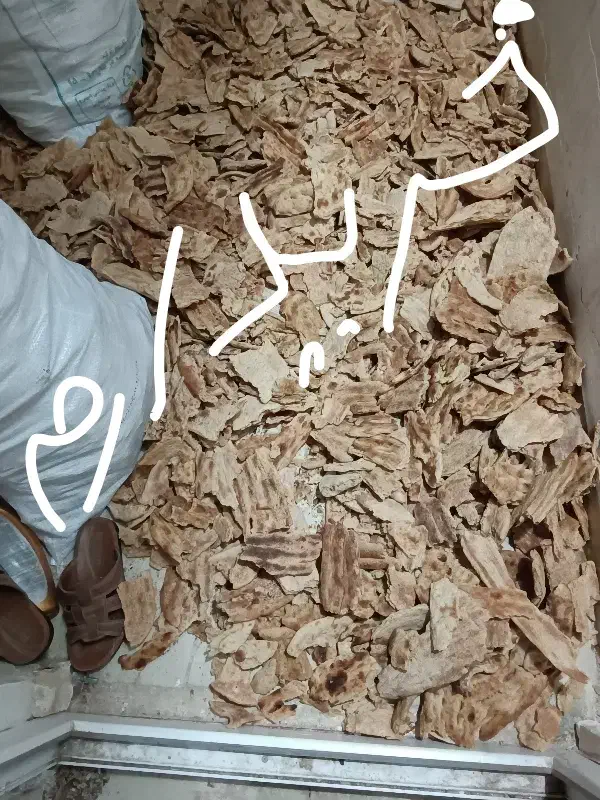 نان خشک|خوردنی و آشامیدنی|مشهد, ده دی|دیوار