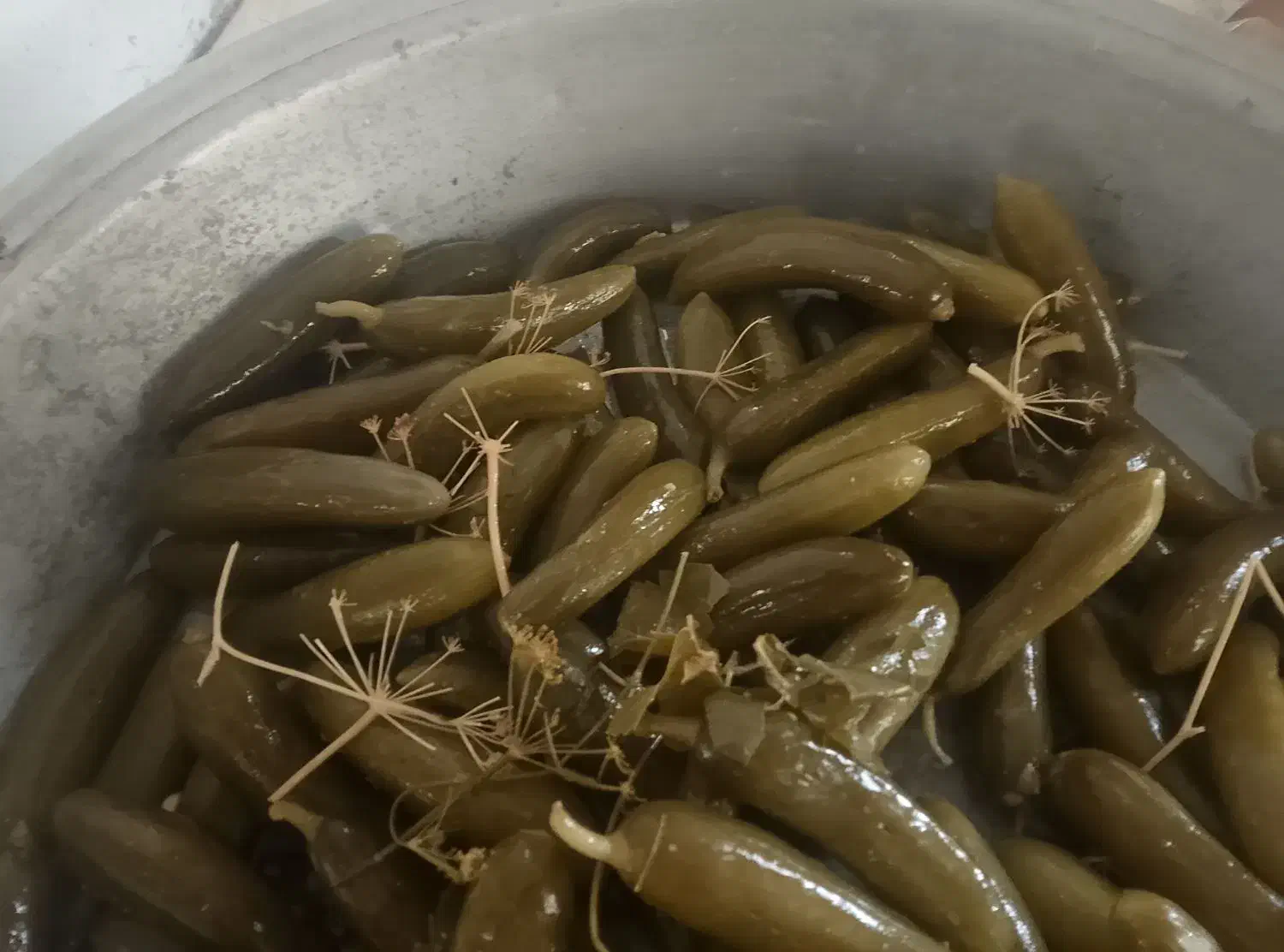 خیارشور تازه وبه قیمت مناسب سوپر نول ممتاز ویژه|خوردنی و آشامیدنی|شیروان (خراسان), |دیوار
