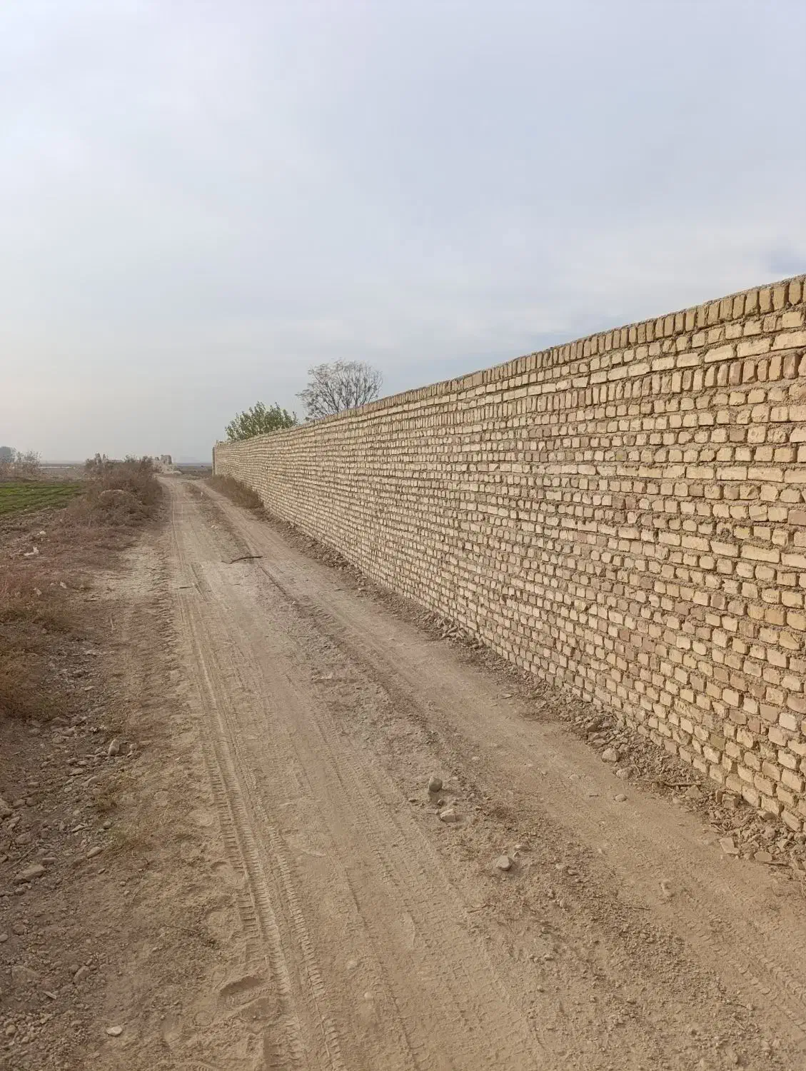 1/800متر فروش چاردیواری با دوساعت آب کشاورزی|فروش دفتر صنعتی، کشاورزی، تجاری|جوادآباد, |دیوار