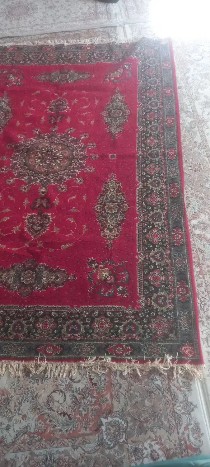 فرش ۶ متری|فرش|ساری, |دیوار