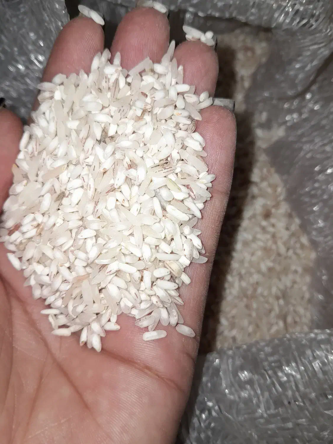 ۱۵کیلوبرنج لاشه|خوردنی و آشامیدنی|گرگان, |دیوار