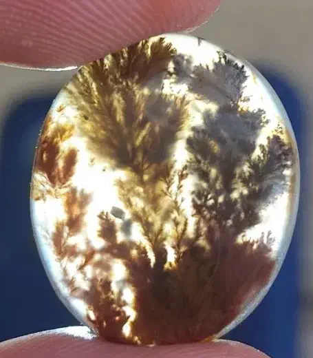 مُهره های عقیق کهنه و خطی|کلکسیون اشیاء عتیقه|اهواز, کمپلو شمالی|دیوار