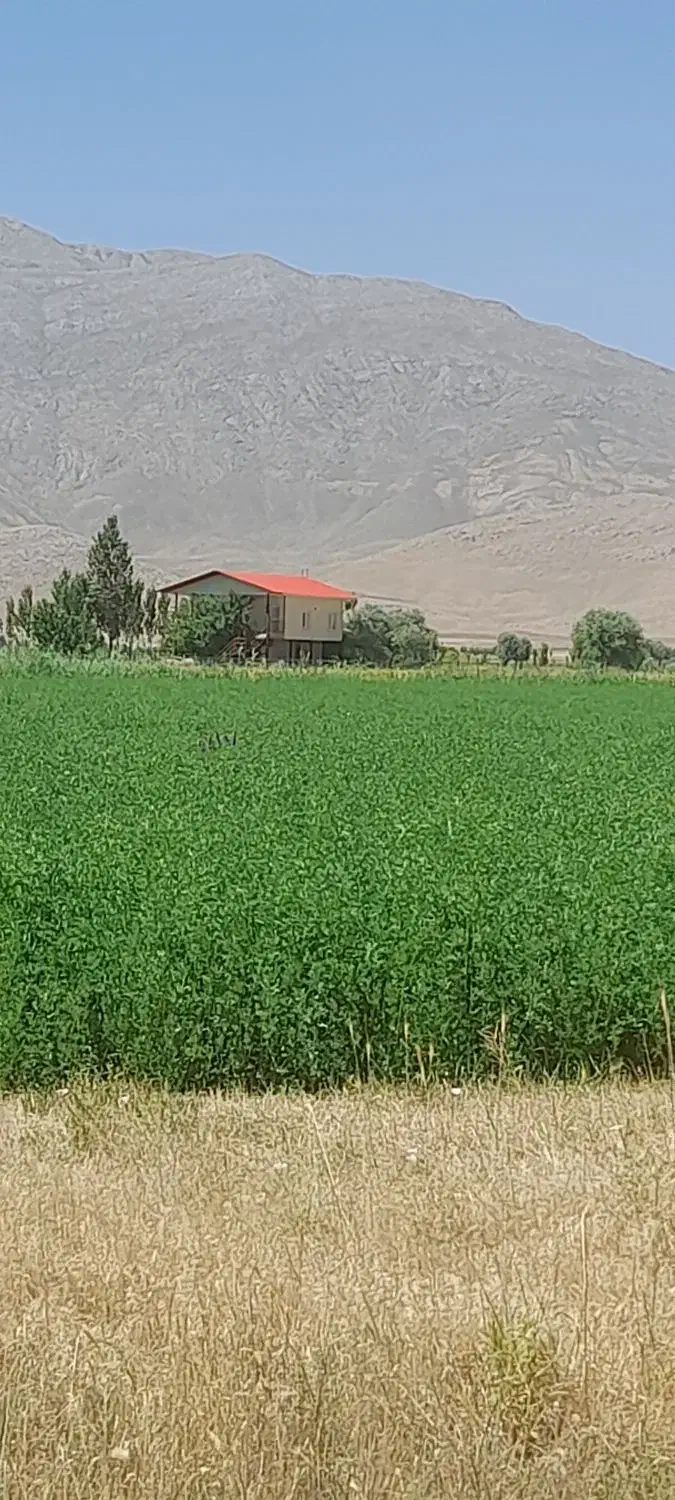 پرس یونجه|خدمات باغبانی و درختکاری|زالیان, |دیوار