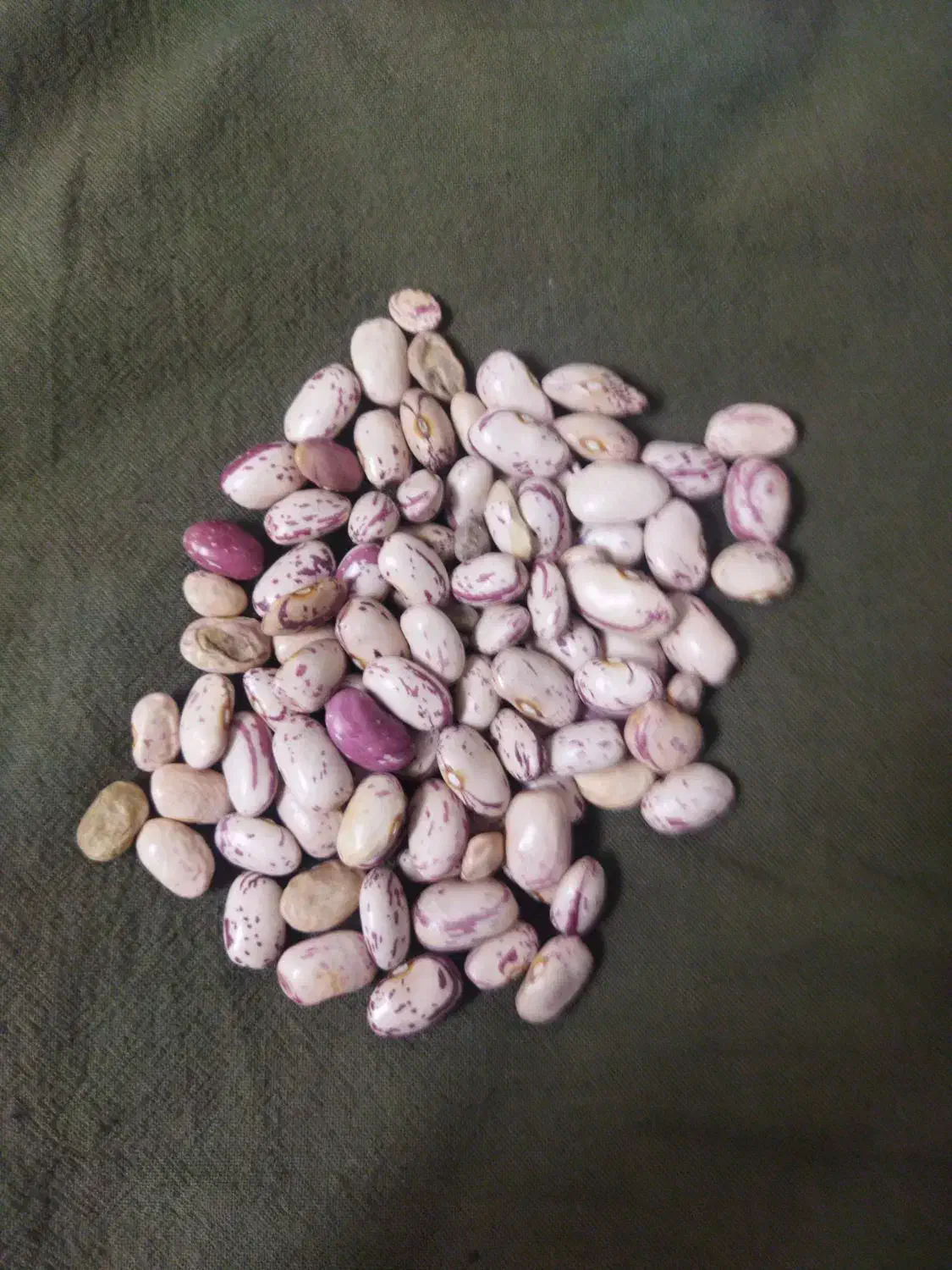 چیتی|خوردنی و آشامیدنی|رباطکریم, مسکن مهر آبشناسان|دیوار