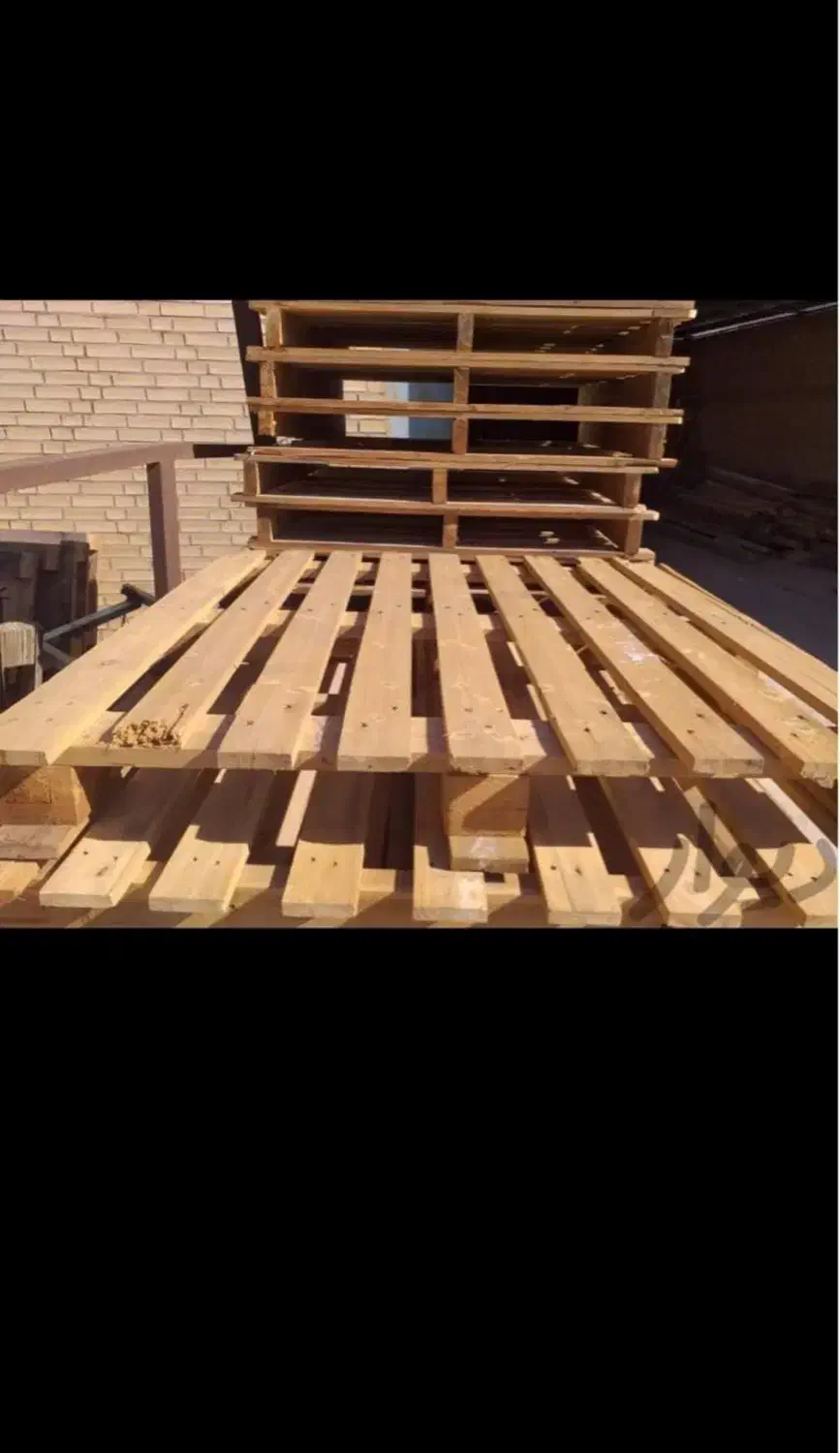 پالتچوبی|ابزارآلات|بم, |دیوار