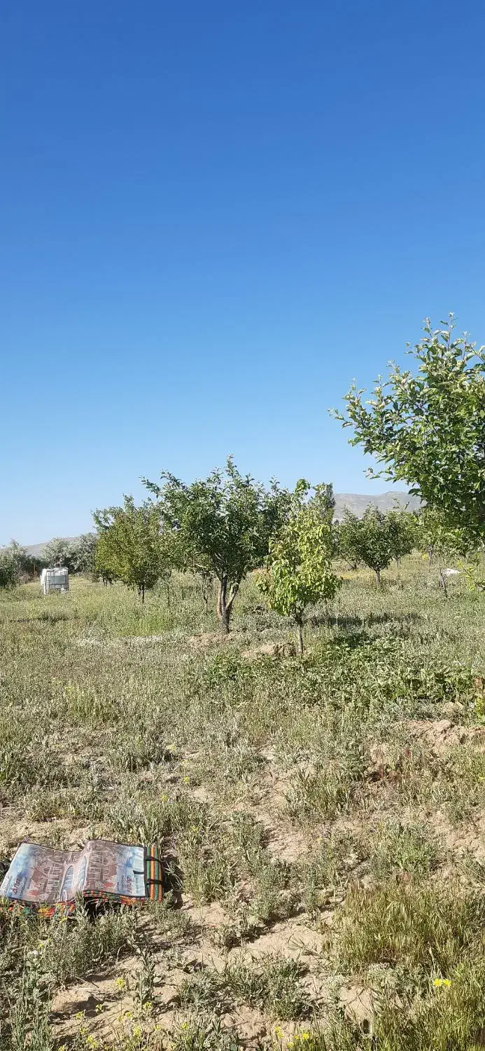 باغ شهر پردیس عباس آباد1000متری|فروش زمین و ملک کلنگی|سلطانیه, |دیوار