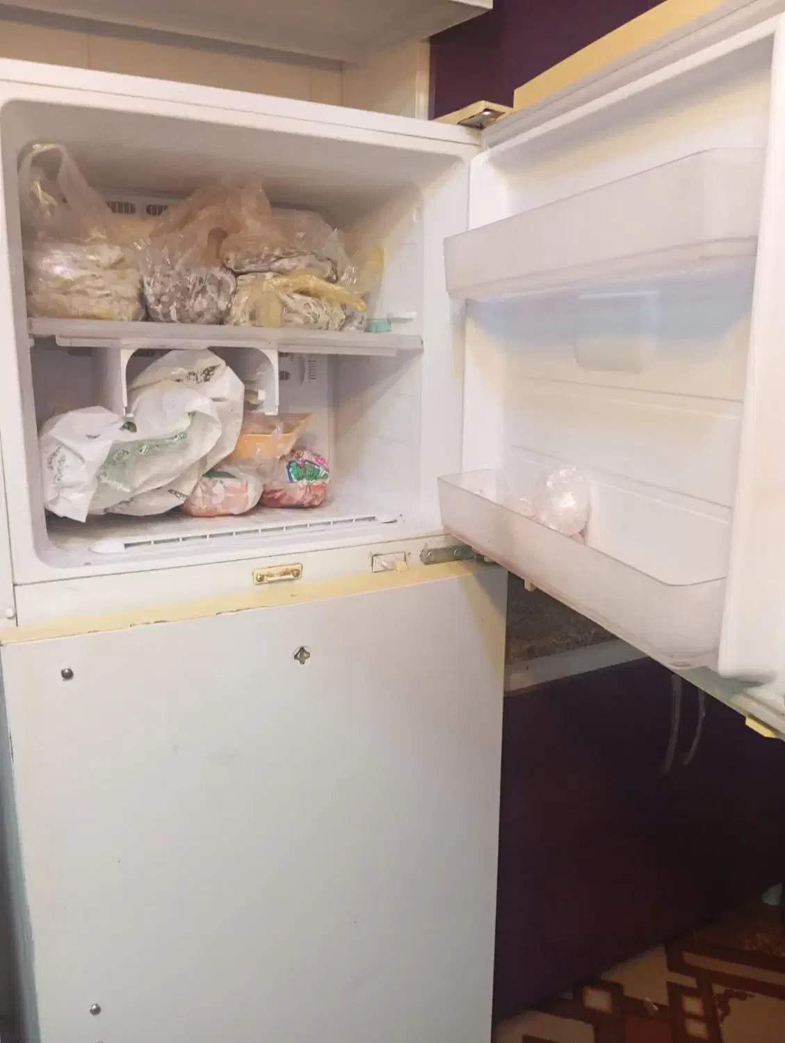 یخچال|یخچال و فریزر|برازجان, |دیوار