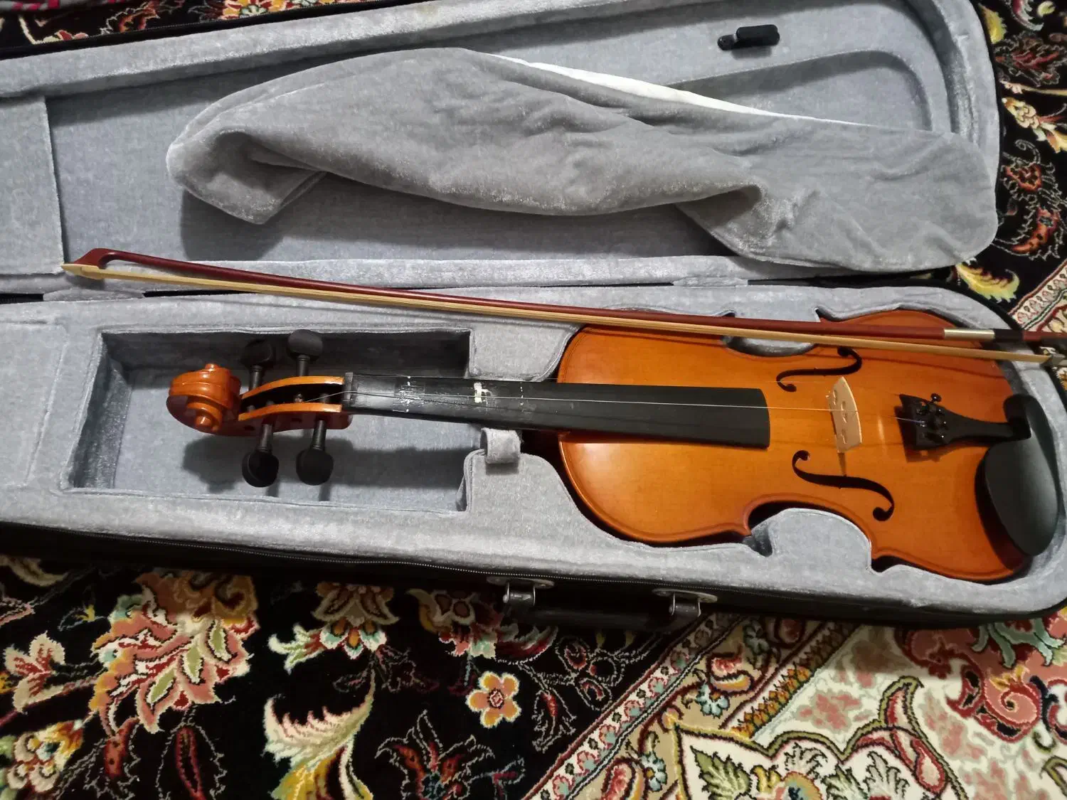 ویولن|ویولن|بجنورد, |دیوار