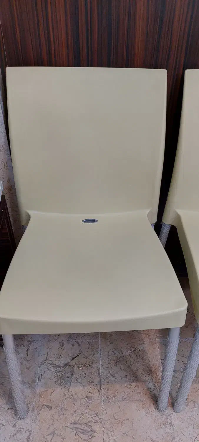 صندلی|میز و صندلی غذاخوری|رشت, کاکتوس|دیوار