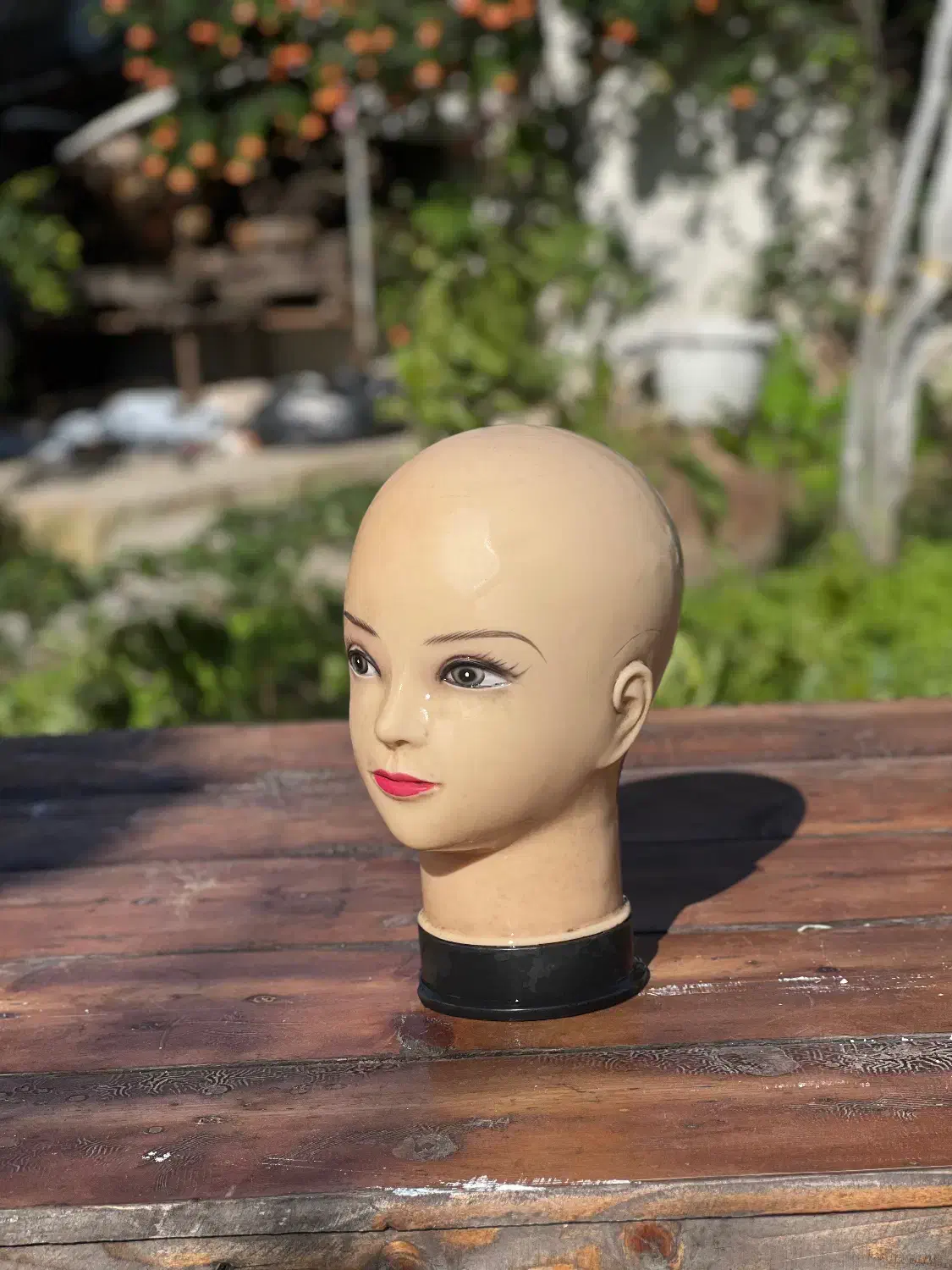 مانکن سر (چهره)|فروشگاه و مغازه|آستارا, |دیوار