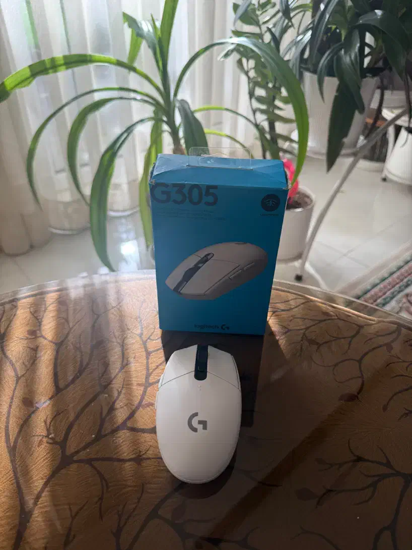 Logitech G305 Wireless Gaming Mouse موس گیمینگ|قطعات و لوازم جانبی رایانه|شیراز, زرگری|دیوار