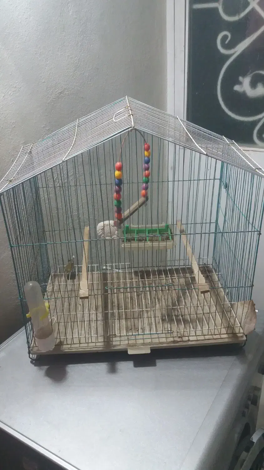 قفس پرنده|لوازم جانبی حیوانات|مشگین شهر, |دیوار