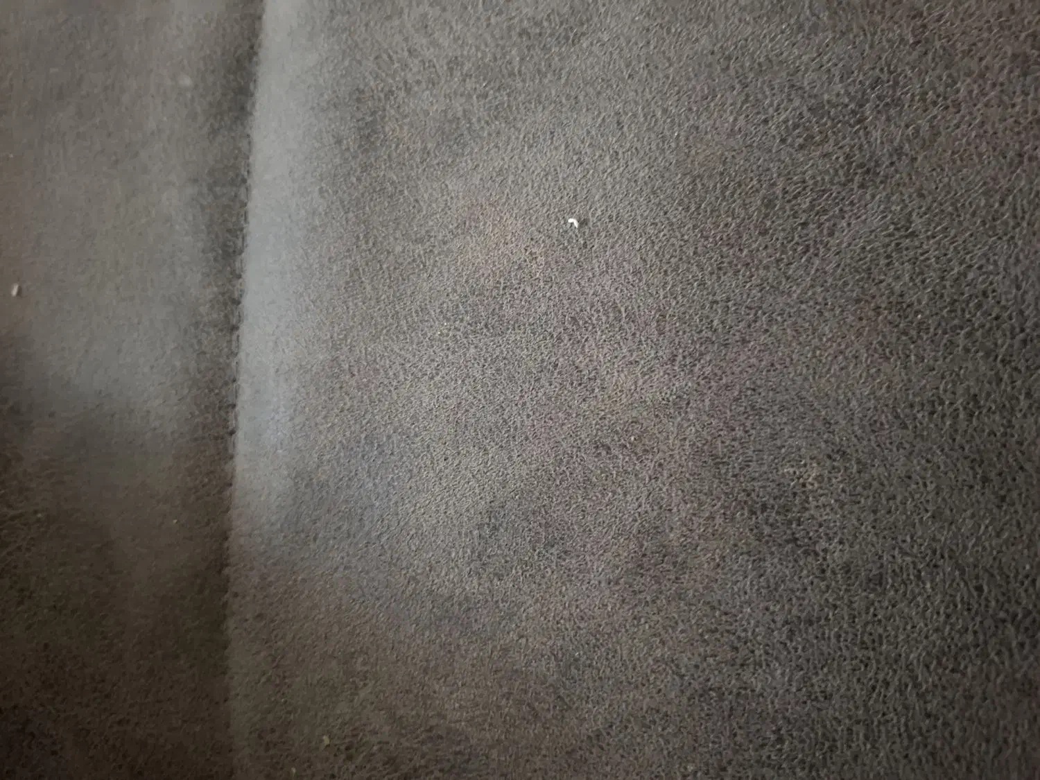 حراجی|حراج|شیروان (خراسان), |دیوار