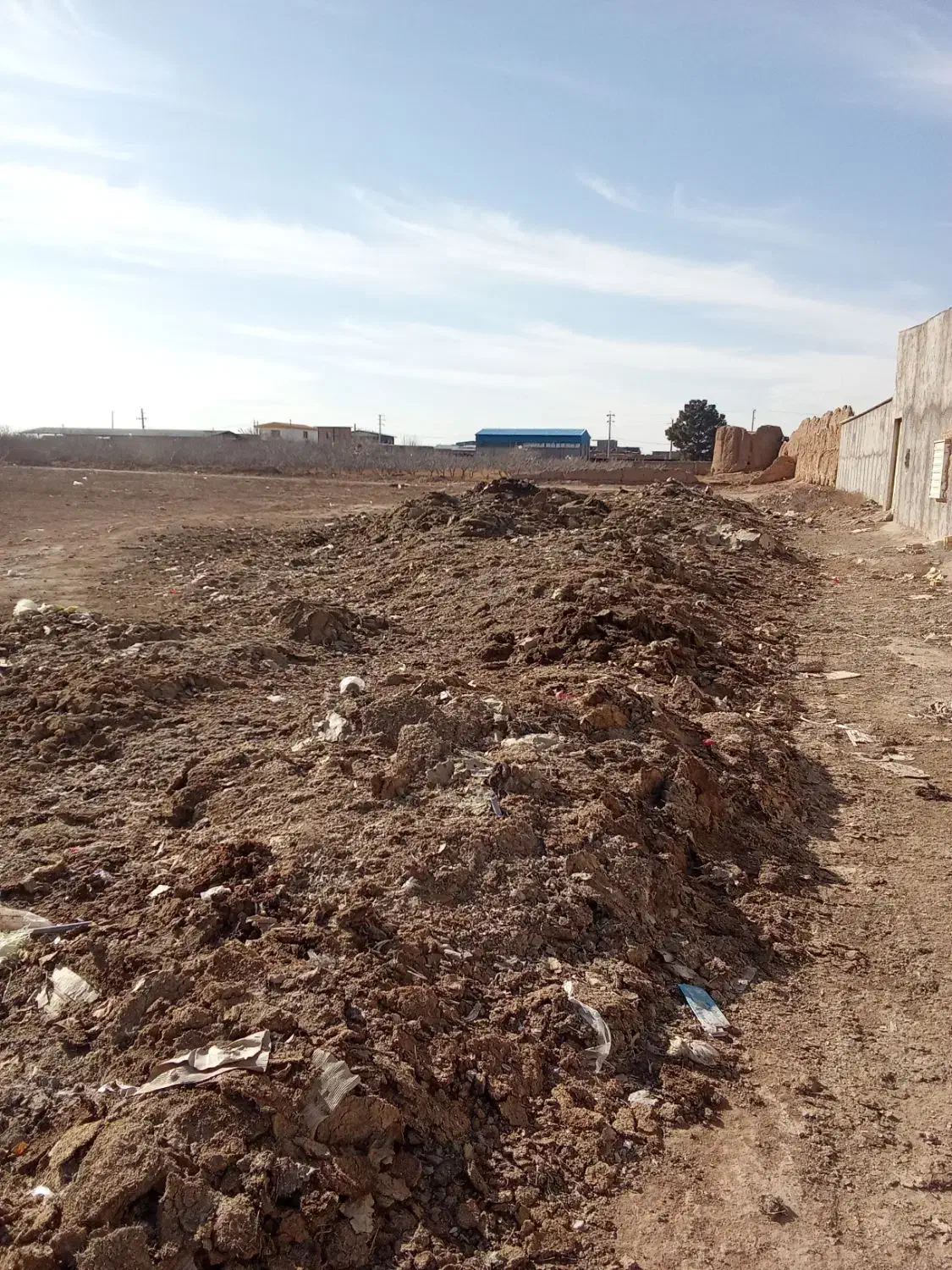 کود بلدرچین|خدمات باغبانی و درختکاری|زرندیه, |دیوار