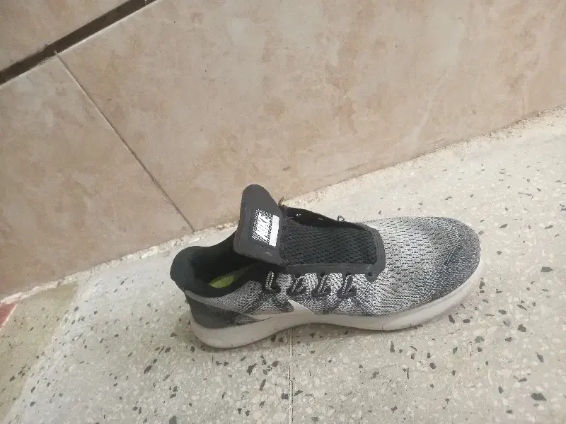 کفش نایک اورجینال|کیف، کفش، کمربند|شیراز, ده پیاله|دیوار