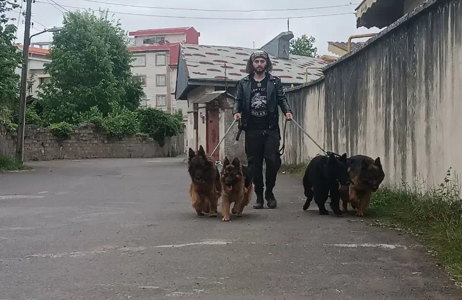 مربی سگ و پانسیون خانگی|خدمات آموزشی|رشت, گلسار|دیوار