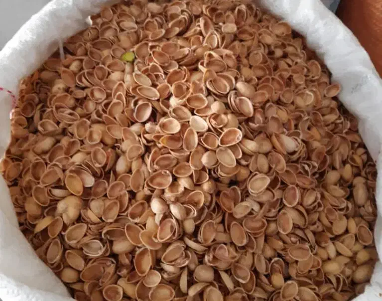 خرید تناژی پوست پسته|خدمات باغبانی و درختکاری|کشکوئیه, |دیوار