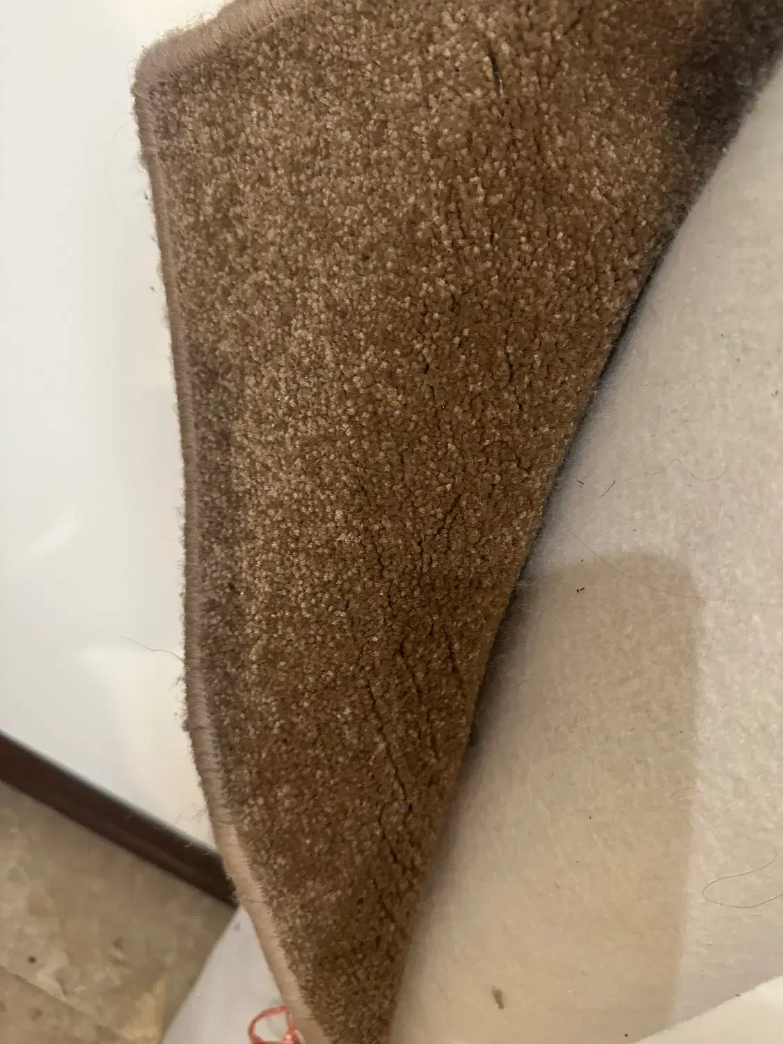 پالاز موکت|موکت|تهران, شهران شمالی|دیوار