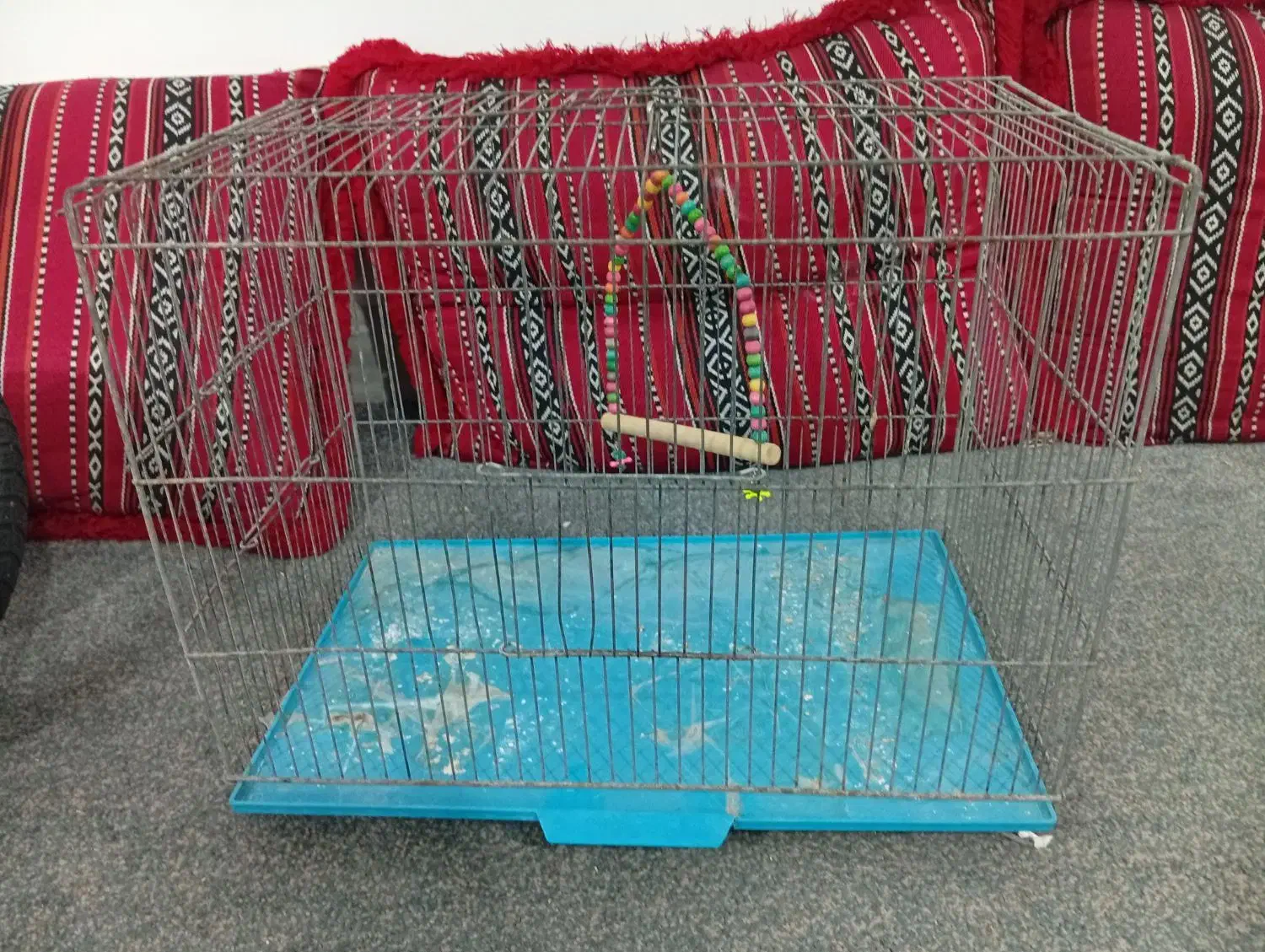 قفس و وسایل اضافی|پرنده|شیراز, شهرک کوثر|دیوار