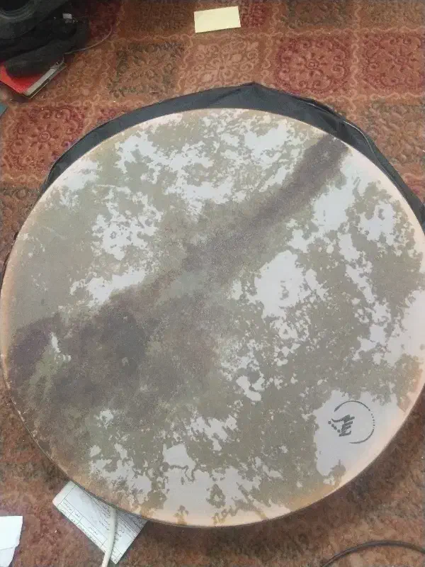 دف استاد حبیبی مدل الیت|سازهای سنتی|قم, گلزار|دیوار