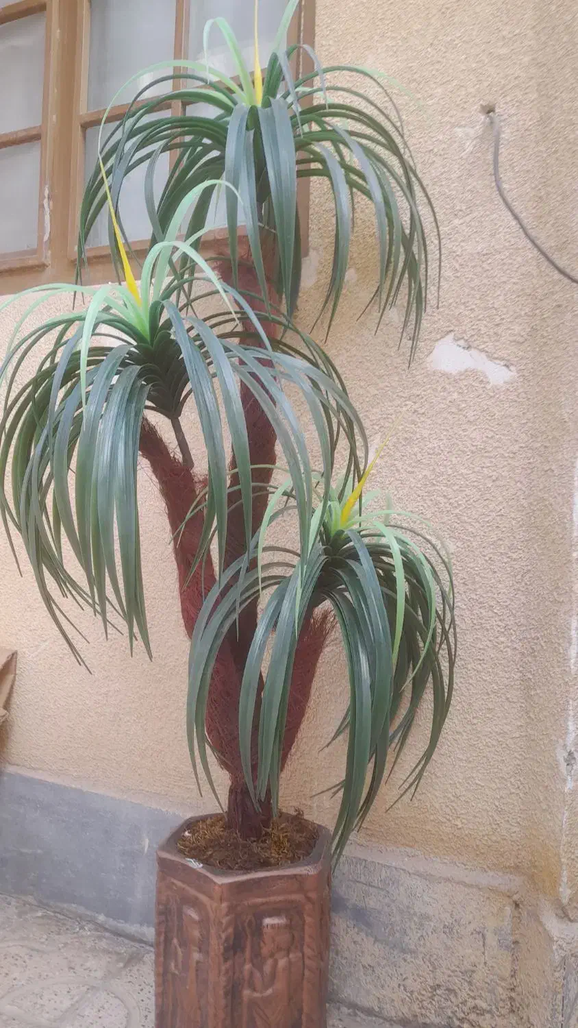 درختچه مصنوعی|گل مصنوعی|بجنورد, |دیوار