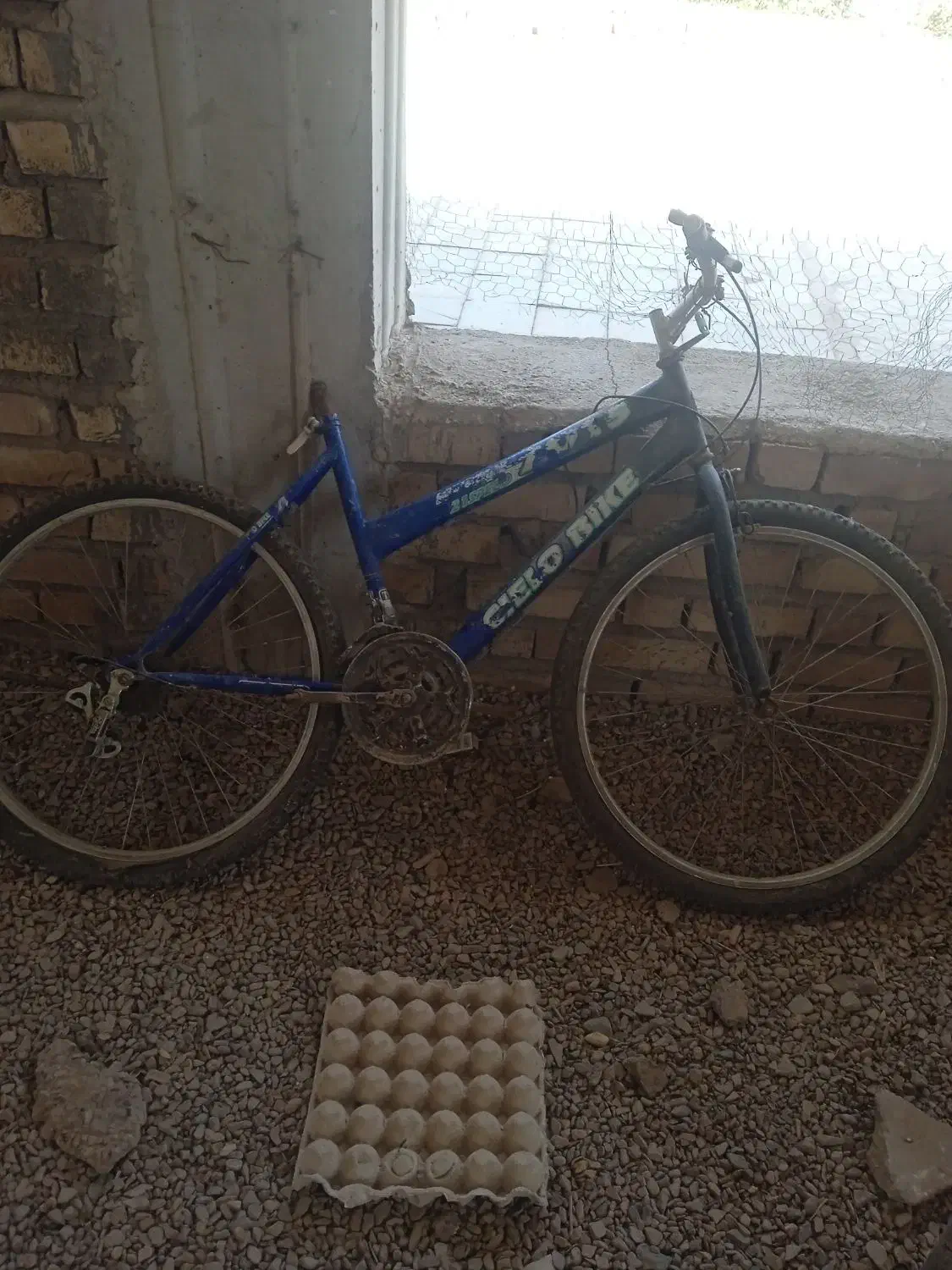 کفتر|دوچرخه، اسکیت، اسکوتر|زرند, |دیوار