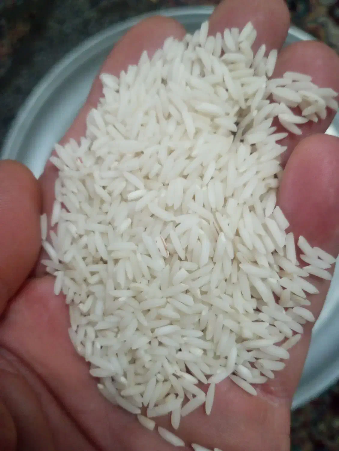 برنج هاشمی اعلاج|خوردنی و آشامیدنی|رشت, گلباغ نماز|دیوار