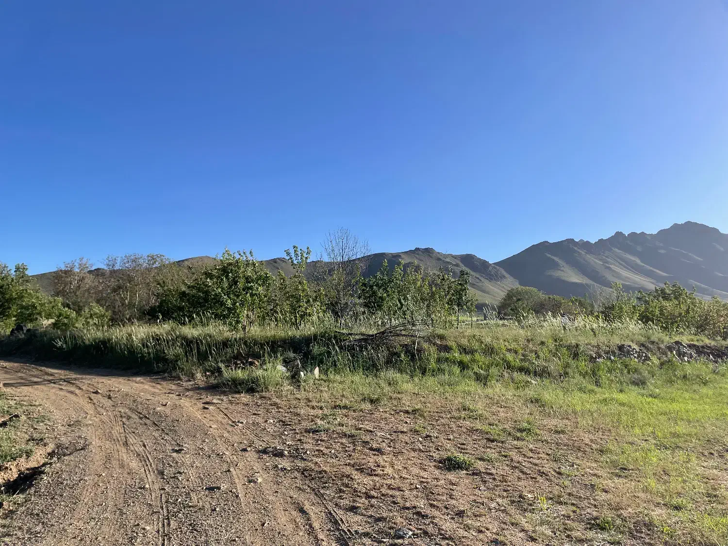 زمین کشاورزی و باغ|فروش زمین و ملک کلنگی|قروه, |دیوار