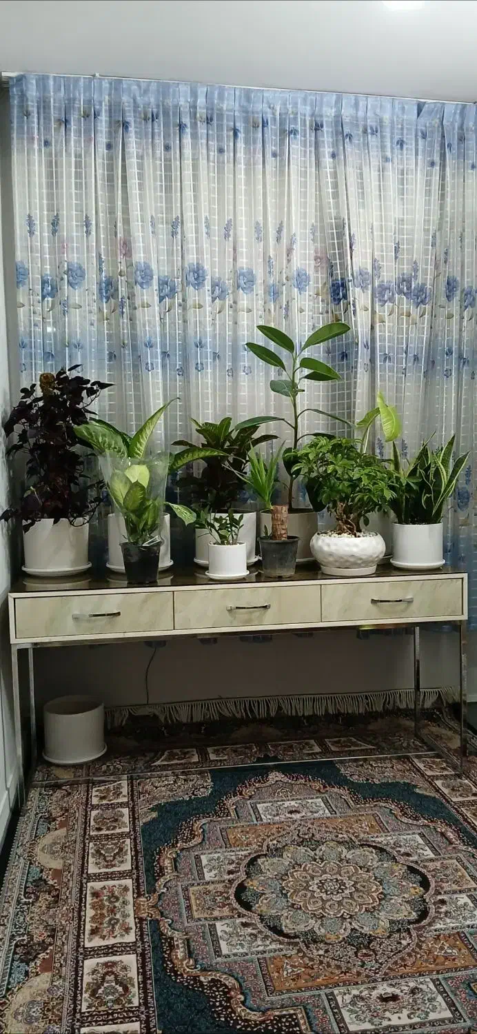 میز آرایش مدرن با کشوهای جادار/کنسول|بوفه، ویترین، کنسول|ری, دیلمان|دیوار