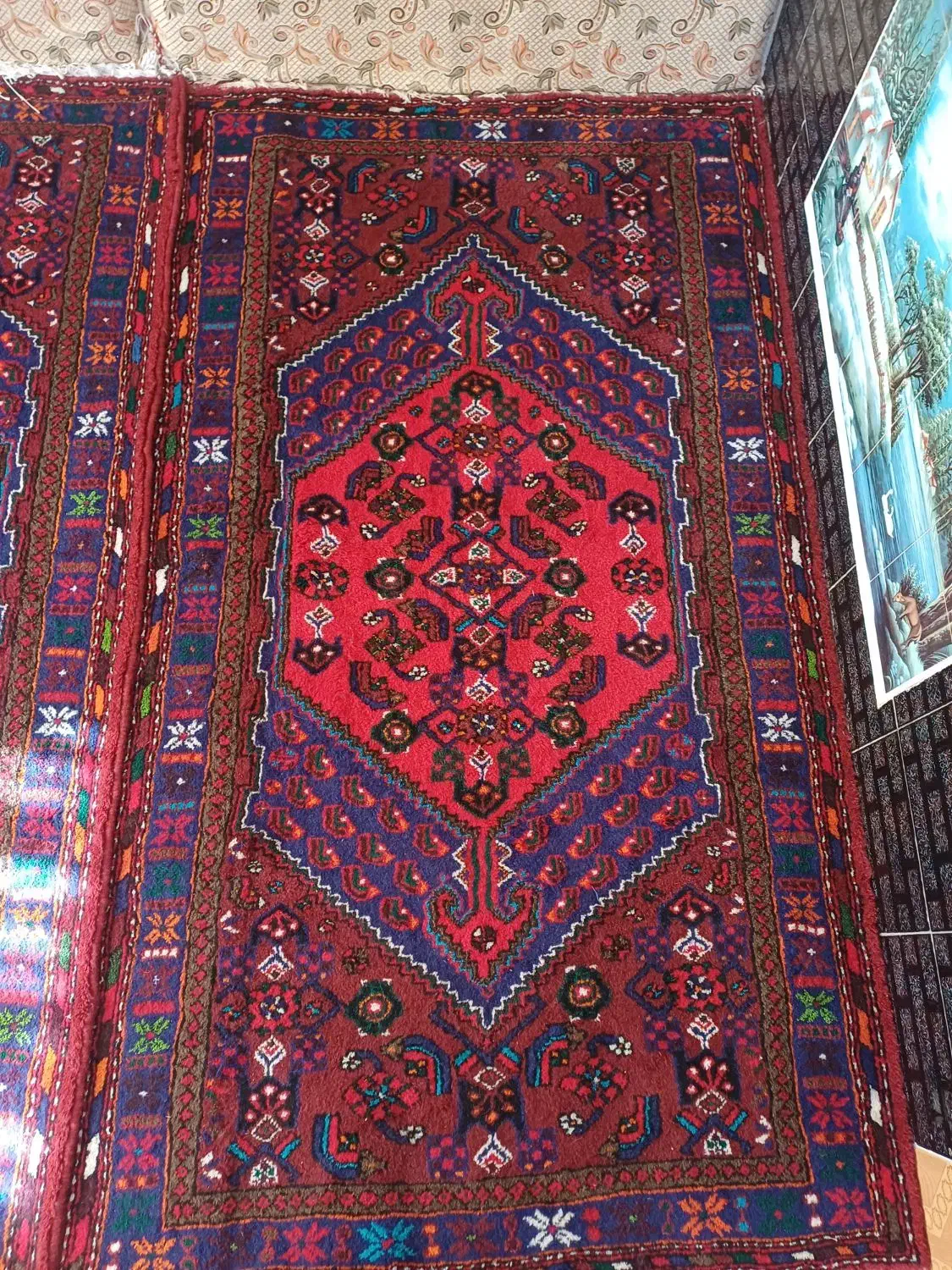 قالیچه دستی|فرش|زنجان, |دیوار