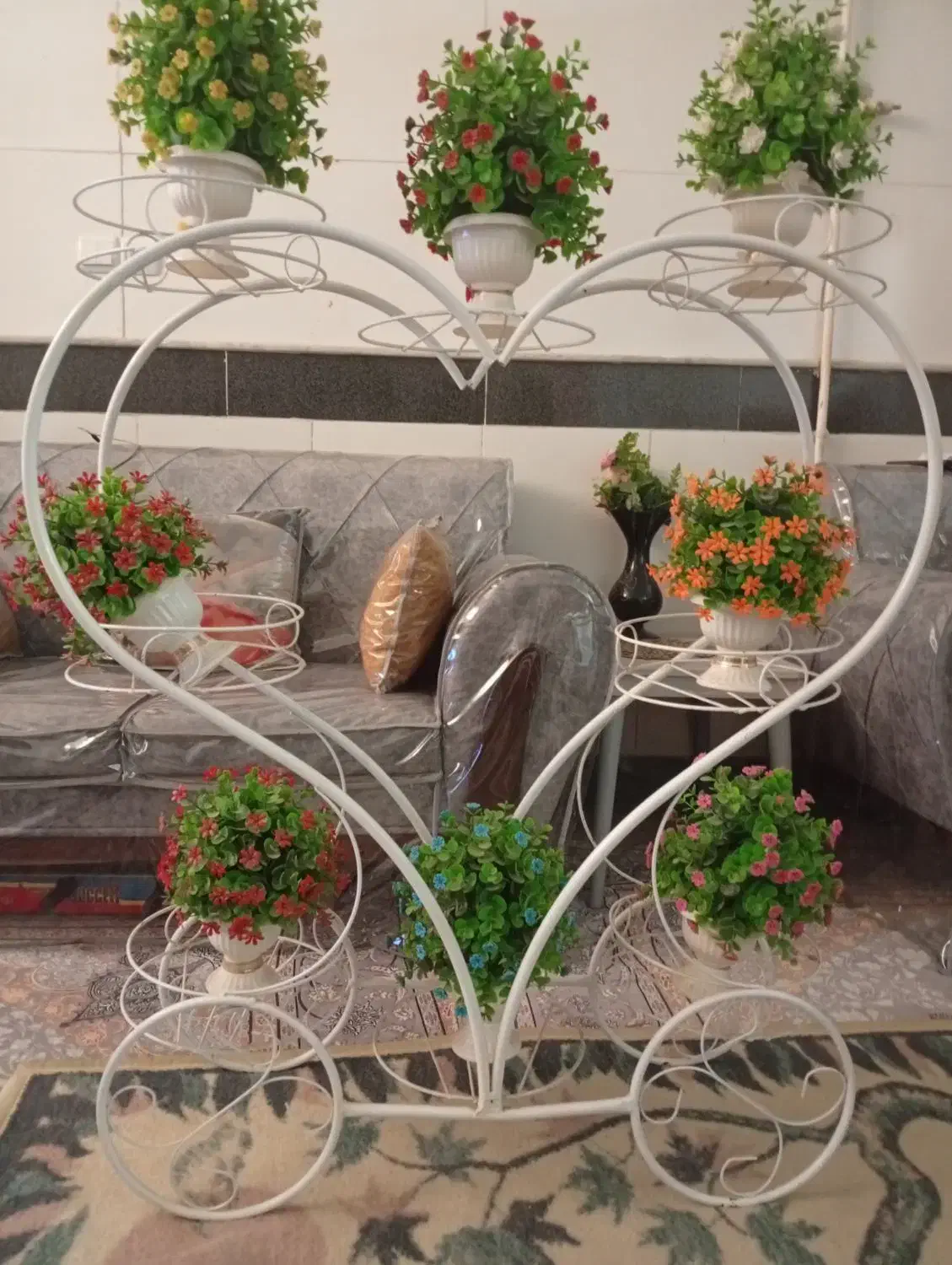 استندگل|گل و گیاه طبیعی|قم, امامزاده ابراهیم|دیوار